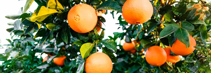 Greenacres Eye Associates in Florida