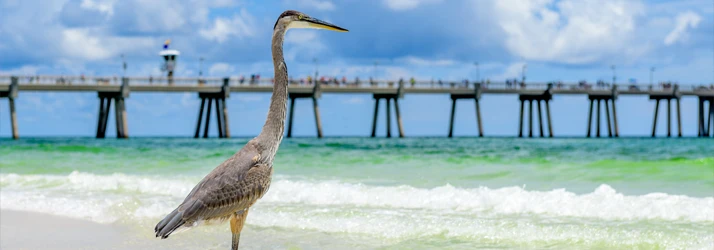 Greenacres Eye Associates in Greenacres FL